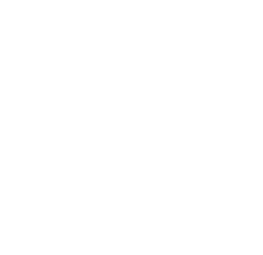 لوگوی بشکوچ